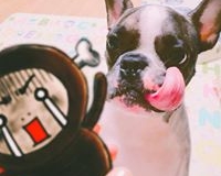 14440946_1085737338210445_3450819393169369393_n