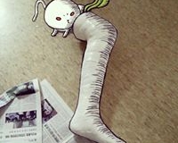 15622752_1185467101570801_1856249752897663595_n