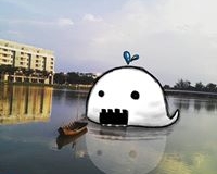 15895108_1198372213613623_5203799798291713880_n