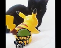 15941267_1204714419646069_2381861042345309032_n